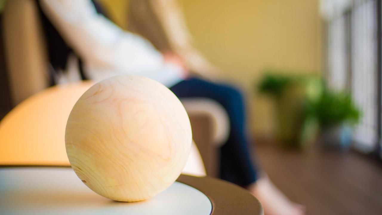 Good Nature Hotel Κιότο Εξωτερικό φωτογραφία A ball used in the game of boule