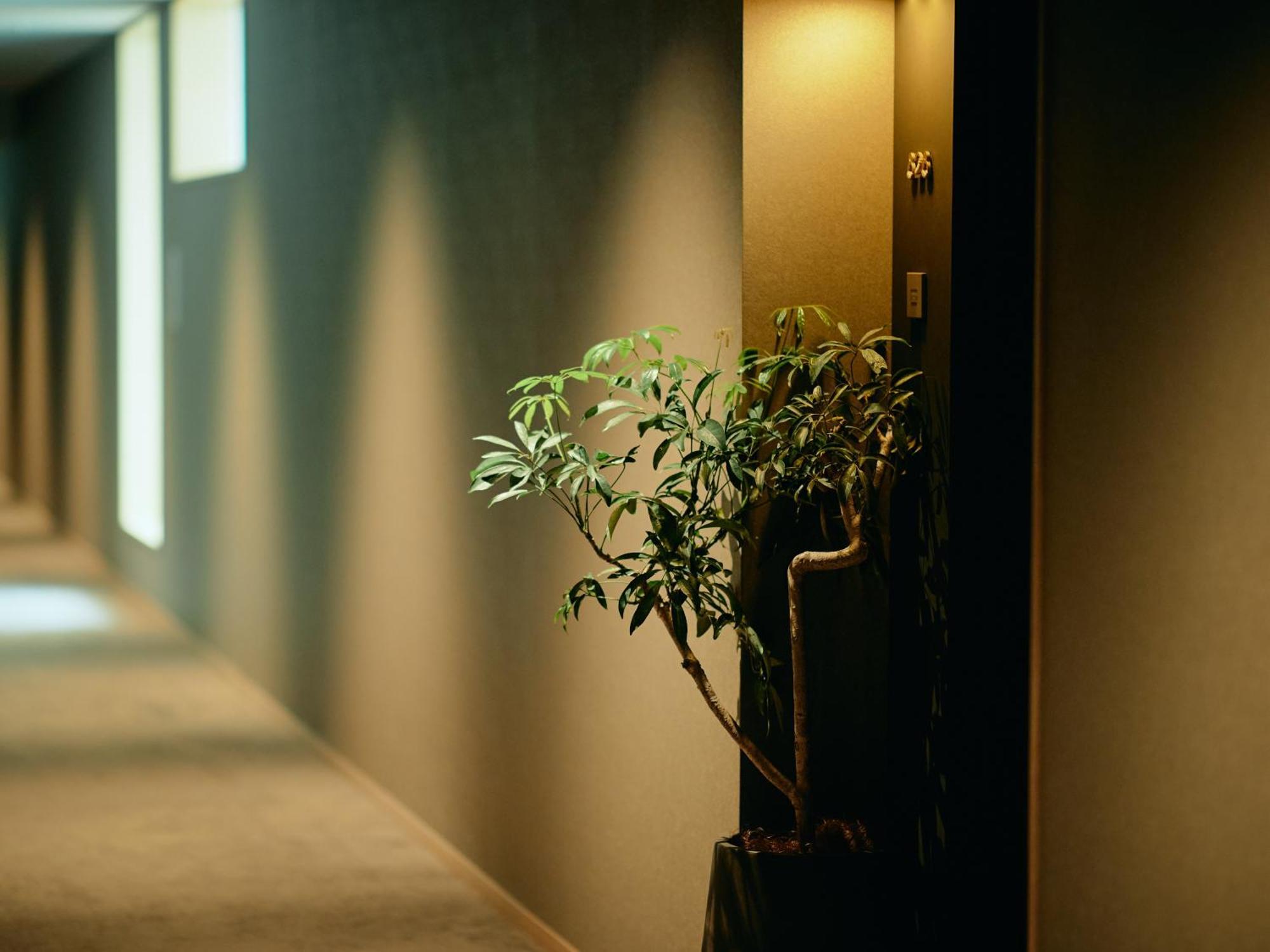 Good Nature Hotel Κιότο Δωμάτιο φωτογραφία A corridor in a hotel